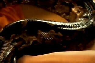 Rise Erotic Serpent Rise!